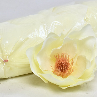Magnolia D17cm Creme Geel