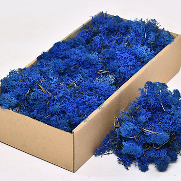 Cladonia Mos Blauw 500gr.