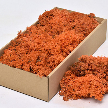 Cladonia Moos Orange 500Gr.