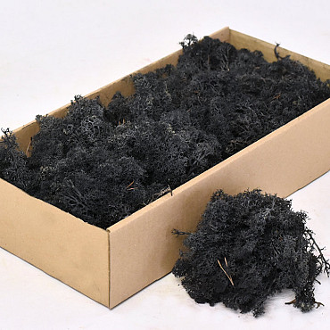 Cladonia Moss Charcoal 500g.