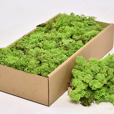 Cladonia Mos Lentegroen 500gr.