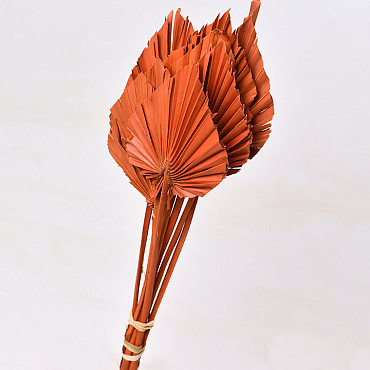 Palm Spear 40-55cm Orange