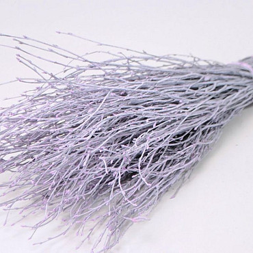 Birch lilac-wash 60cm 50pcs