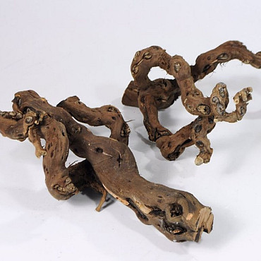 Bois Vigne 3-Bras 40-55cm