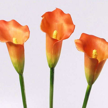 Calla orange 60cm