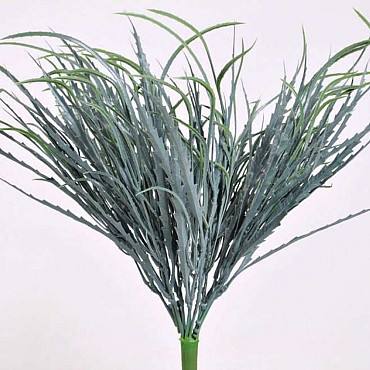 False Aralia Bush 40cm