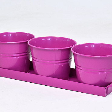 Bakje 3st. H11cm Fuchsia