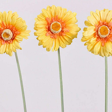 Gerbera 55cm gelb