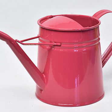 Watering Can H14cm Framboise