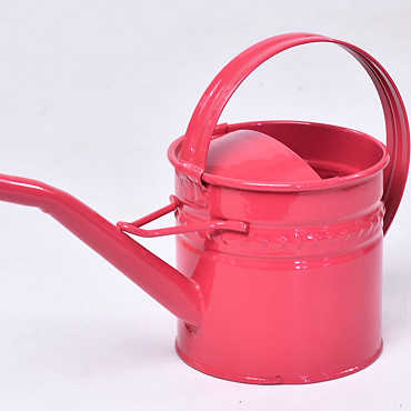 Watering Can H11cm Framboise