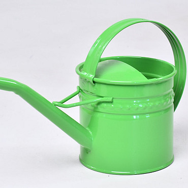 Watering Can H11cm Green