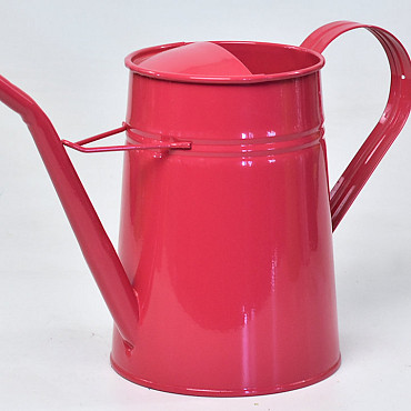 Watering Can H21cm Framboise