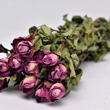 Rose Rosa 40cm