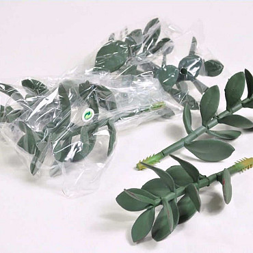 Plante Grasse 16cm