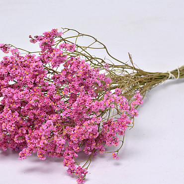 Limonium 45cm Pink