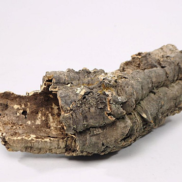 Cork Tube Medium L20-30cm