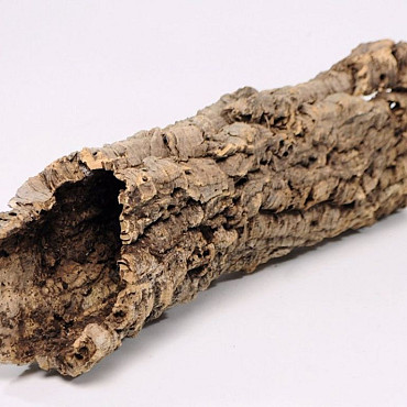 Cork Tube Medium L30-40cm