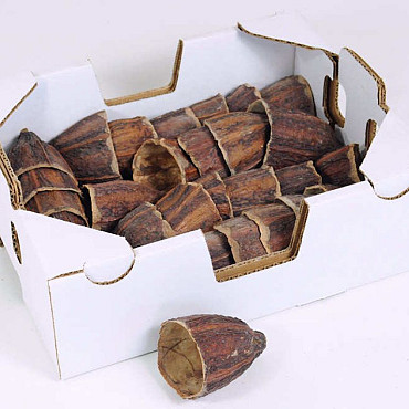 Cacao Cup 7-10cm