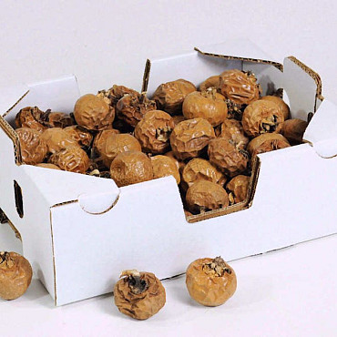 Caramel Pompino 3-4cm