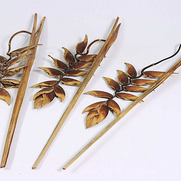 Dried Heliconia 75cm