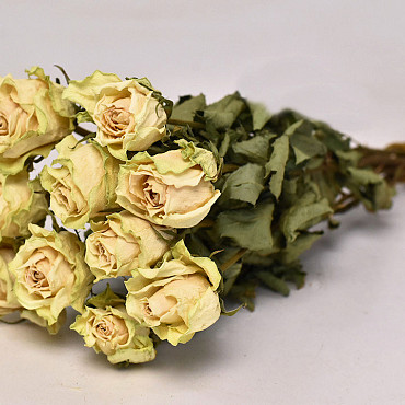 Rose Cream-Yellow 35cm