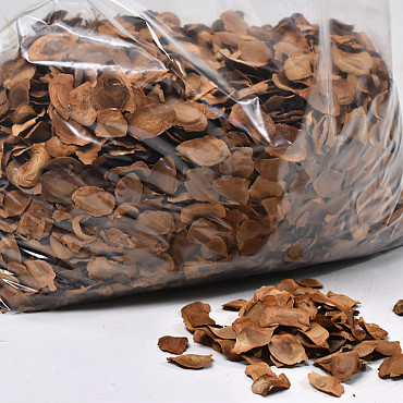 Mehogany Seeds KG