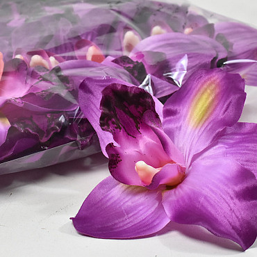 Orchid Purple D16cm