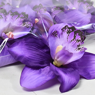 Orchid D16cm Purple