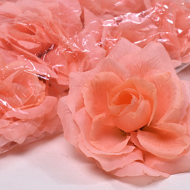 Rose Peach D10cm 
