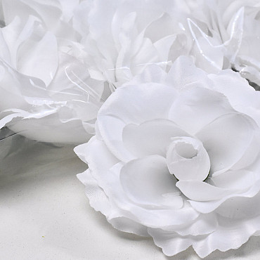 Rose D11cm White