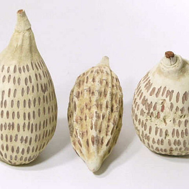 Baobab Drop weiss 20-30cm