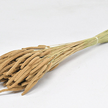 Phleum 100gr. Zand