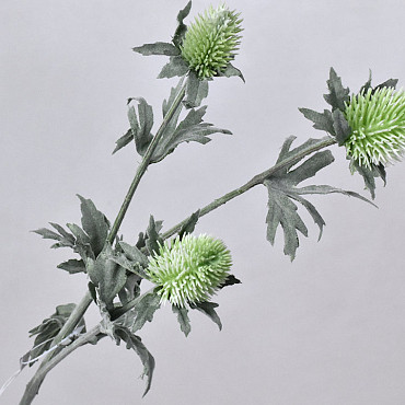 Thistle Spray Green 78cm