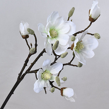 Magnolia Spray White 91cm