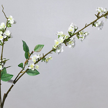 Cherry Blossom White 115cm