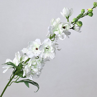 Delphinium Spray White 91cm