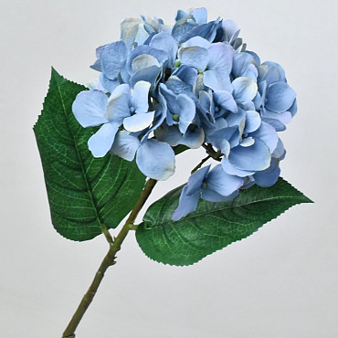 Hydrangea Blue 66cm