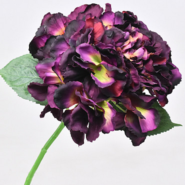 Hydrangea Dark Purple 40cm