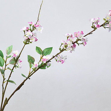 Cherry Blossom Pink 115cm