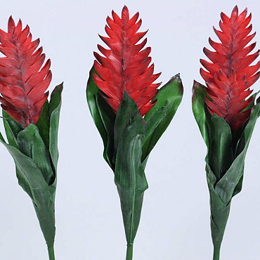 Bromelia 45cm rouge