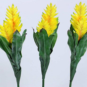 Bromelia 45cm jaune
