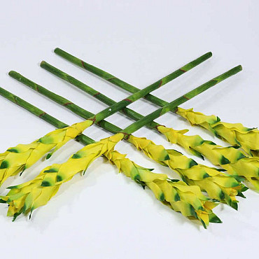 Bromelia 80cm jaune