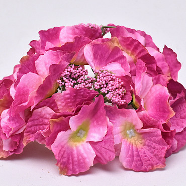 Hortensia Kop D16cm Fuchsia