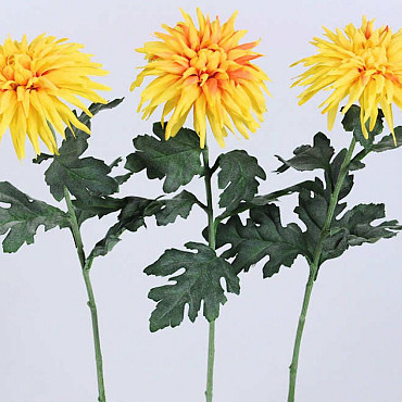 Dahlia Spider 65cm jaune