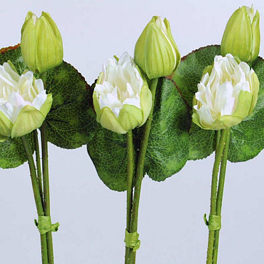 Lotusbloem 80cm wit