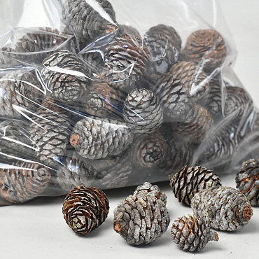 Muri Cones PKG