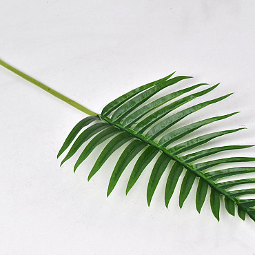 Fern Palm Green 65cm