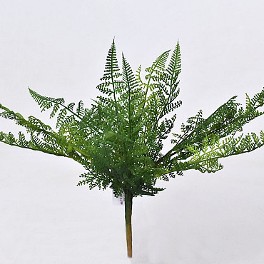 Fern Bush 15 Bladeren 46cm