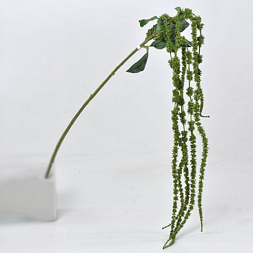 Amaranthus Green 66cm