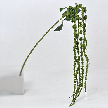 Amaranthus Groen 66cm